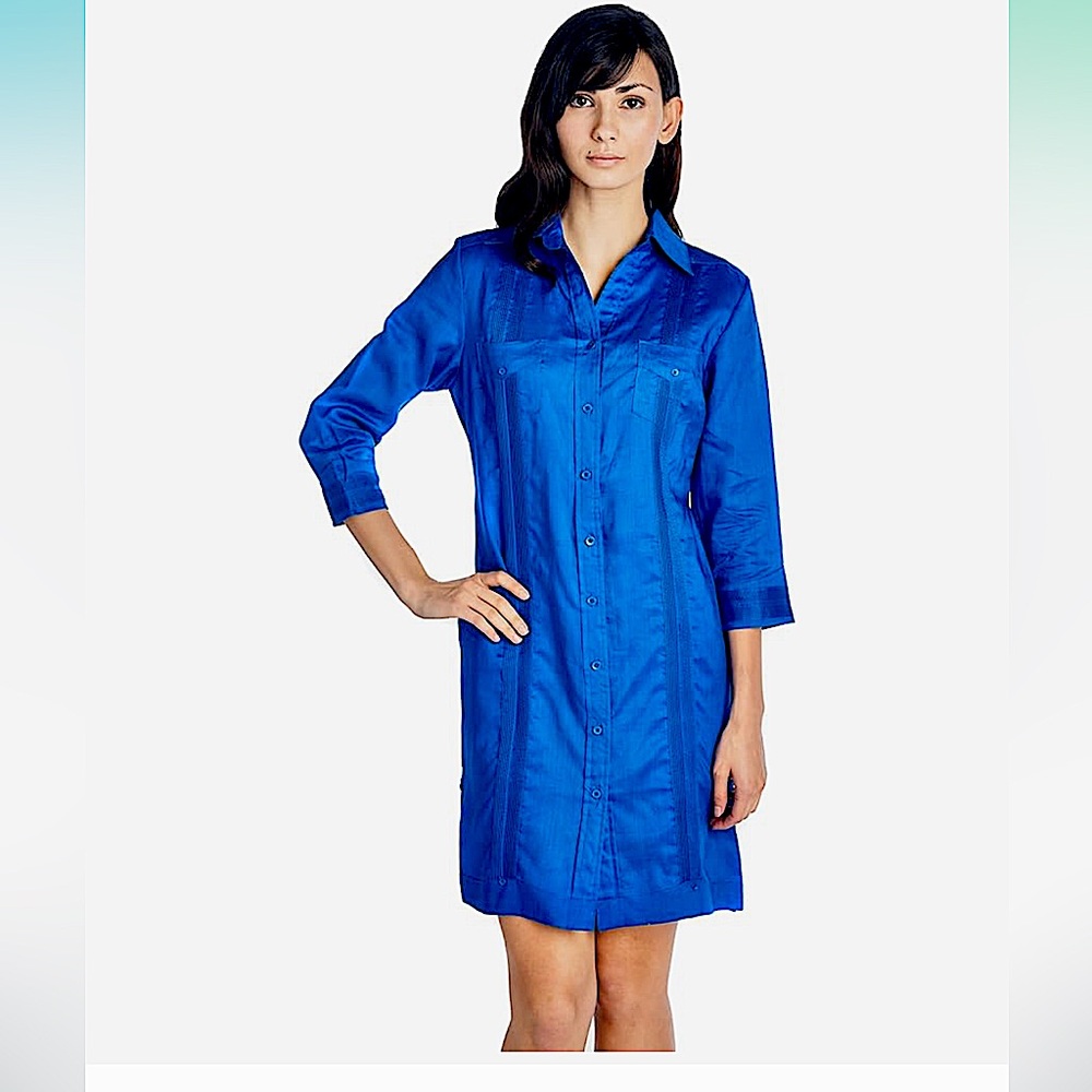 Elegant Blue Shirt Dress